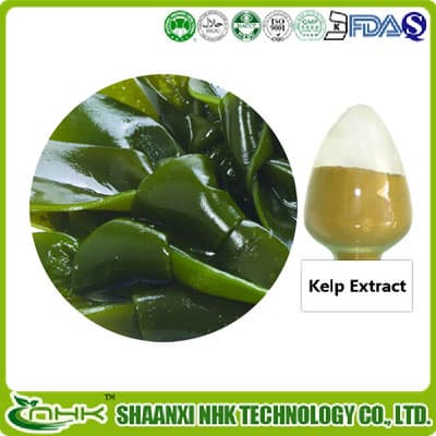 Natural seaweed _kelp extract fucoxanthin